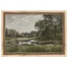 Pond Study