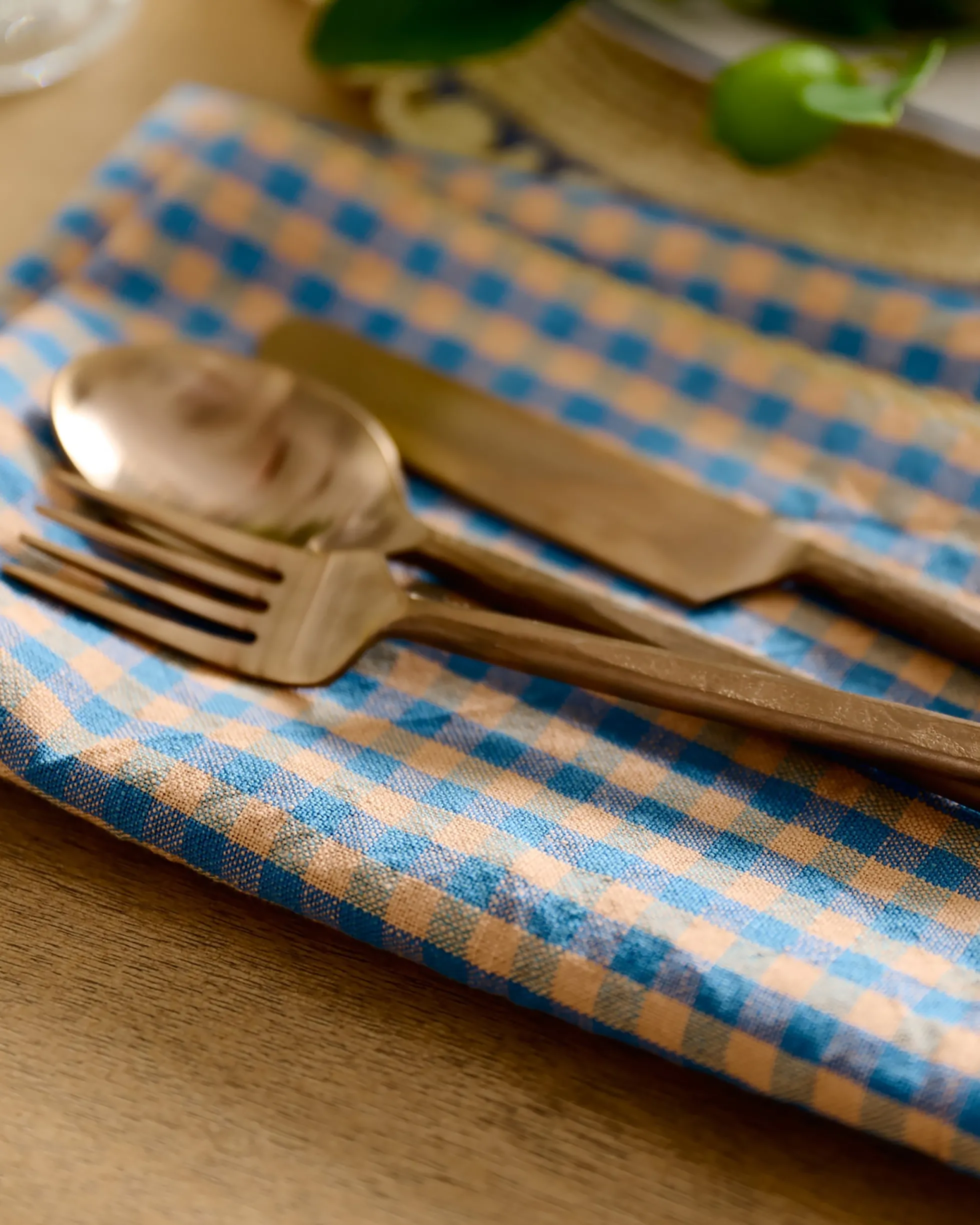 Poolside Check Napkin Set of 4