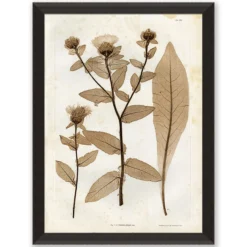Preserved Plants I