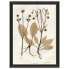 Preserved Plants III