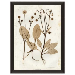 Preserved Plants III