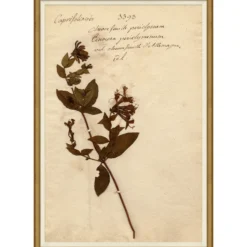 Pressed Floral IX