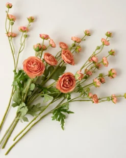 Ranunculus Bloom Bundle