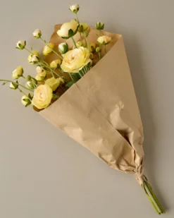 Ranunculus Bloom Bundle
