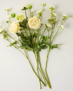 Ranunculus Bloom Bundle