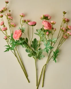 Ranunculus Bloom Bundle