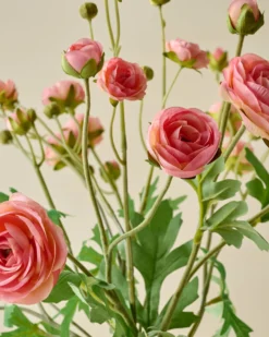 Ranunculus Bloom Bundle