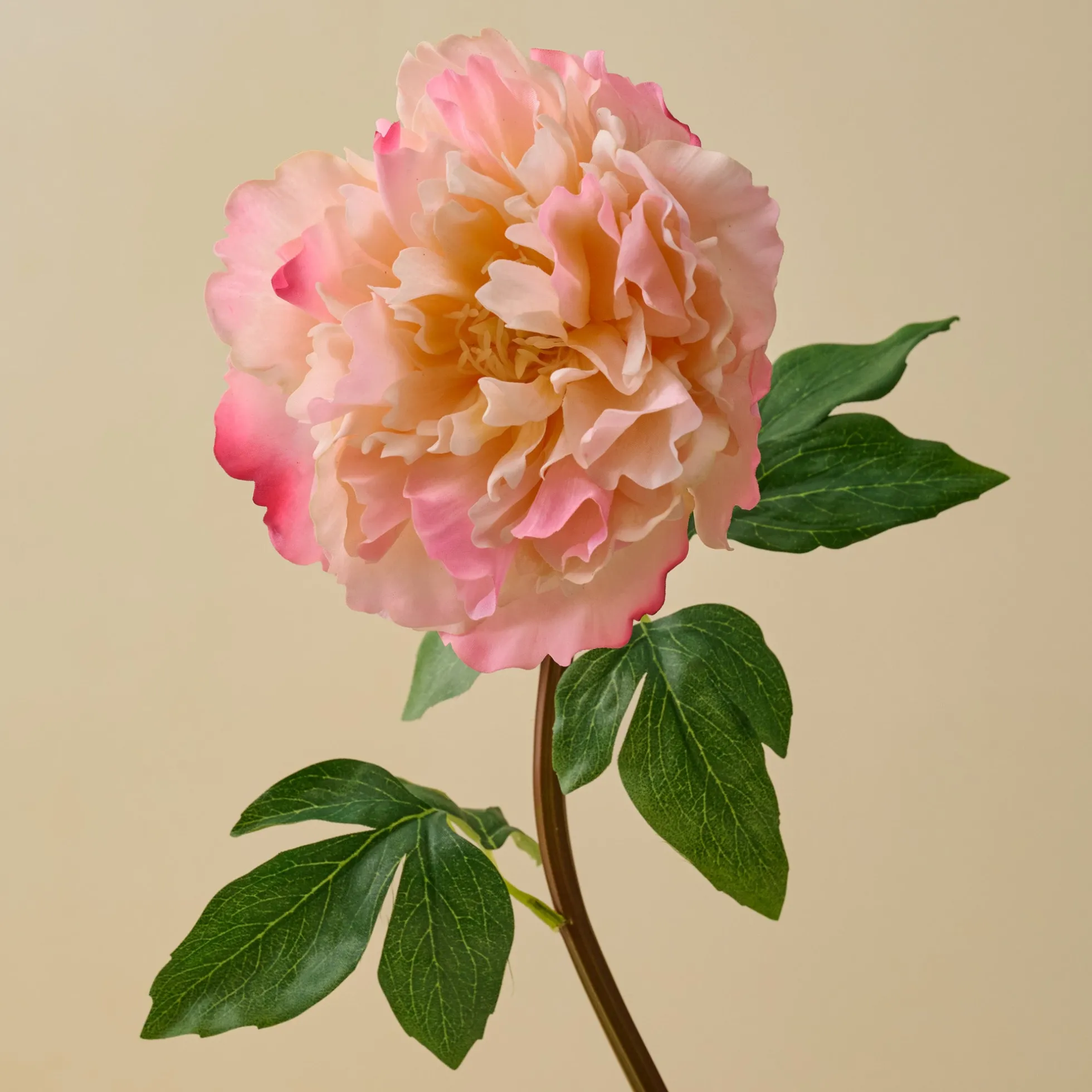 Real Touch Peach Peony Stem