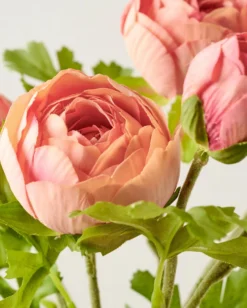 Real Touch Ranunculus Stem