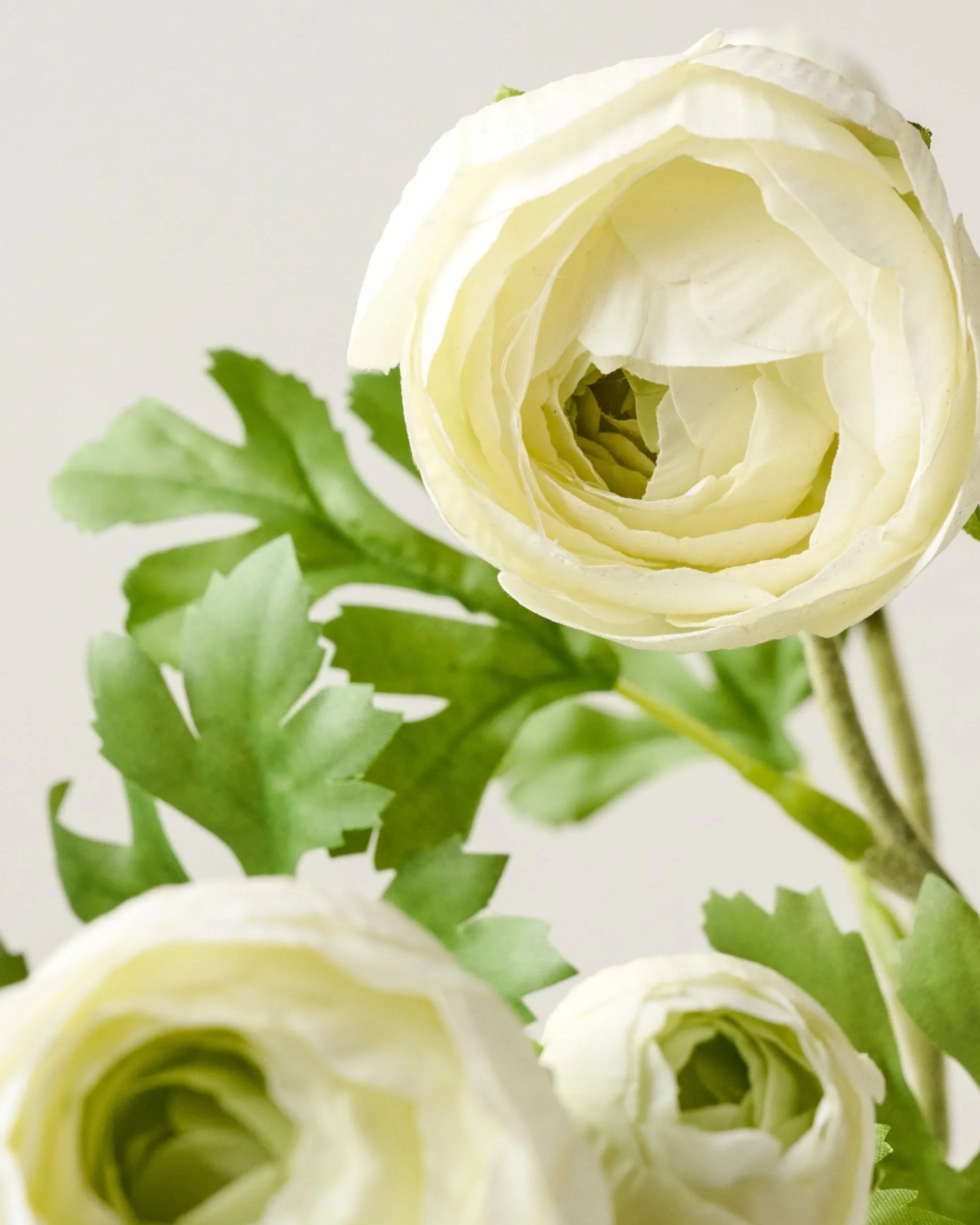 Real Touch Ranunculus Stem