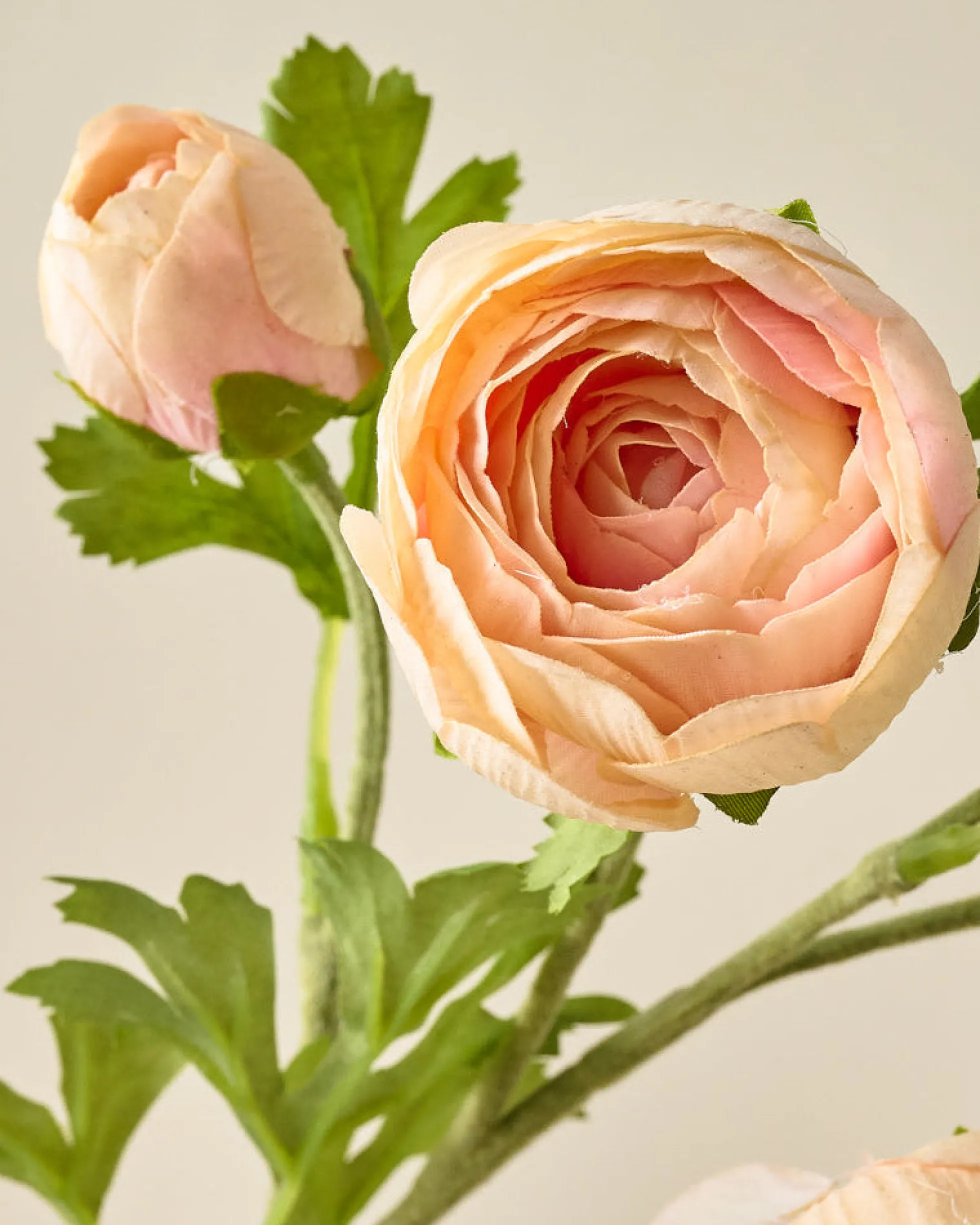 Real Touch Ranunculus Stem