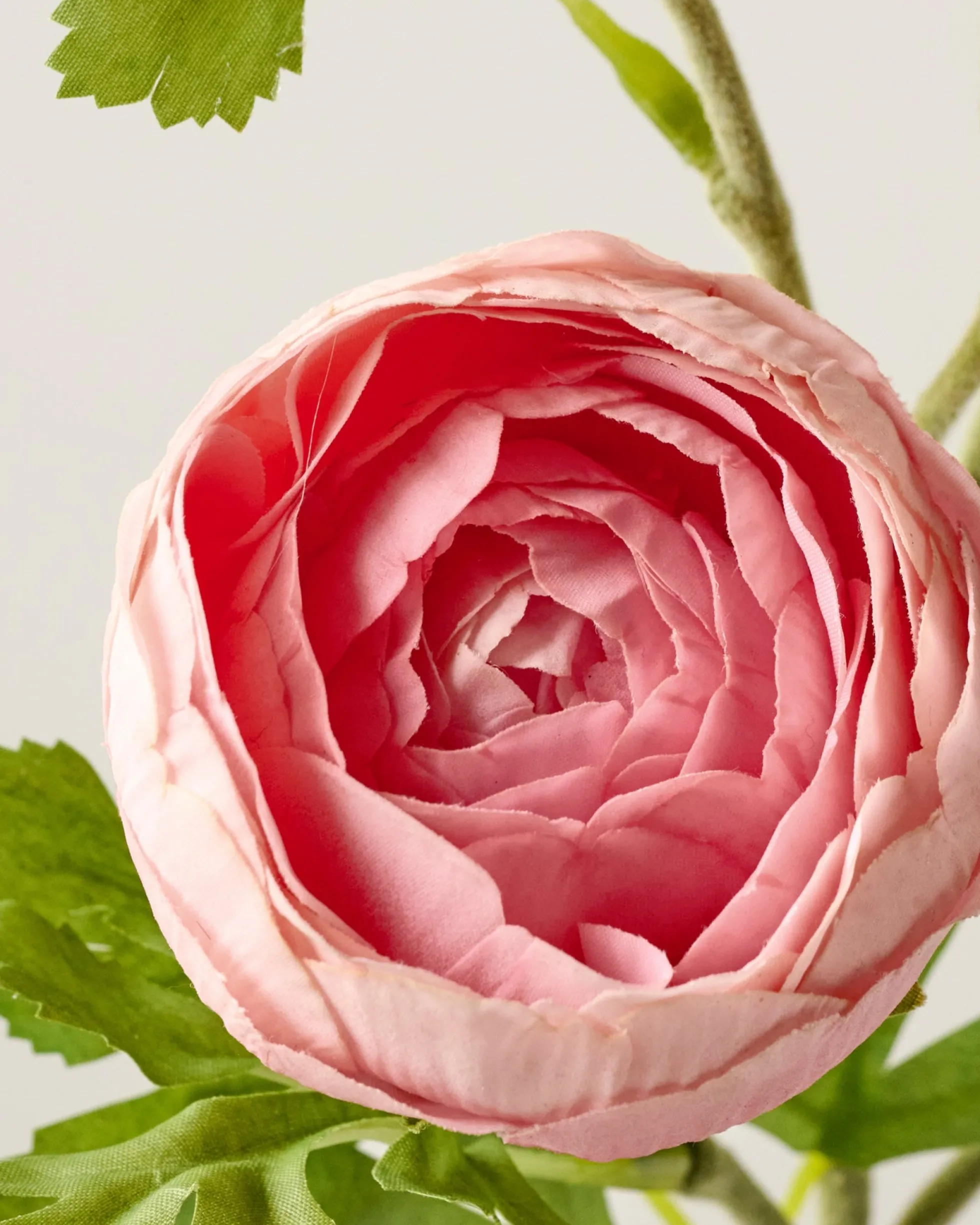 Real Touch Ranunculus Stem