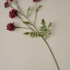 Real Touch Red Velvet Scabiosa Stem
