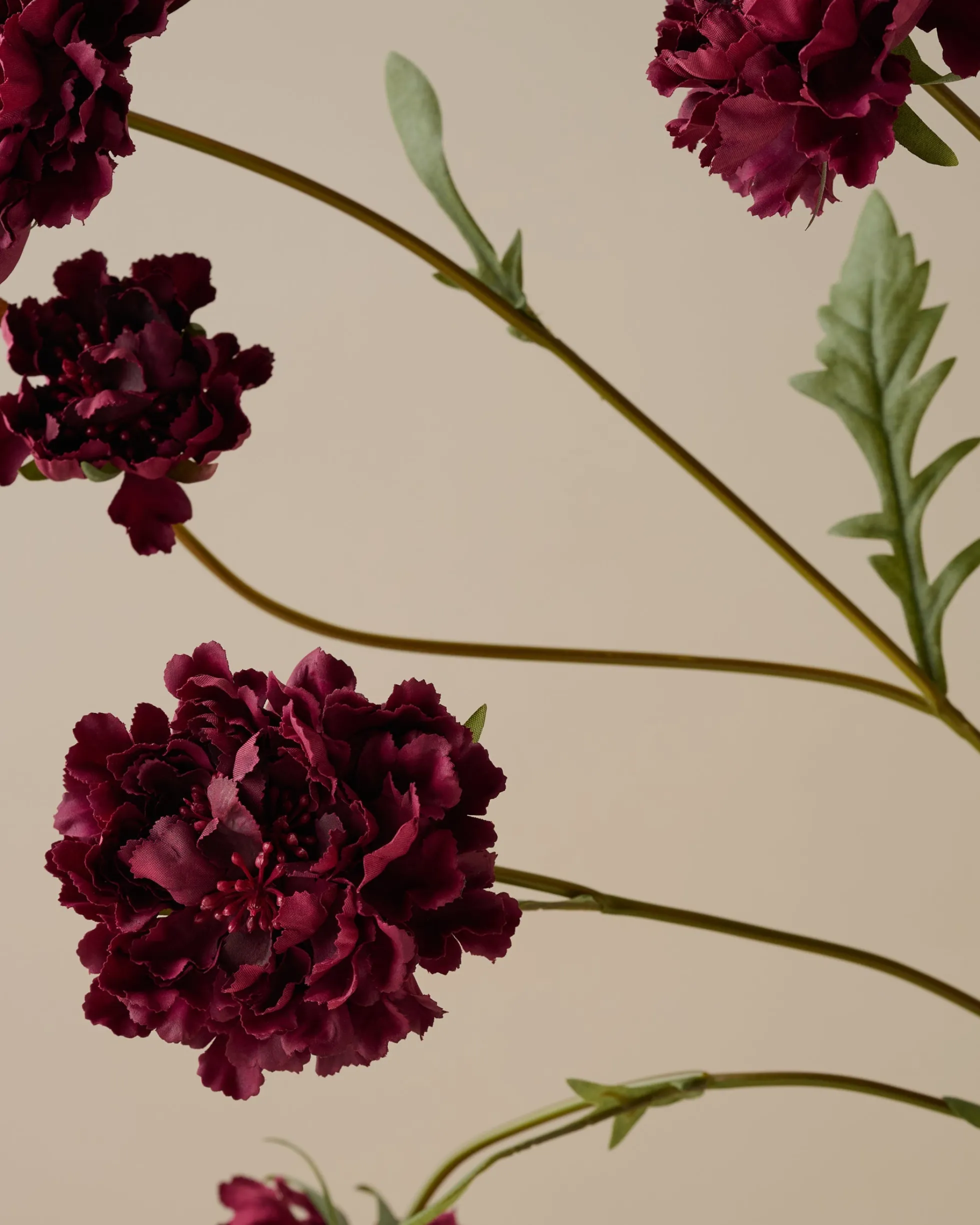 Real Touch Red Velvet Scabiosa Stem