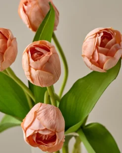 Real Touch Tulip Bundle