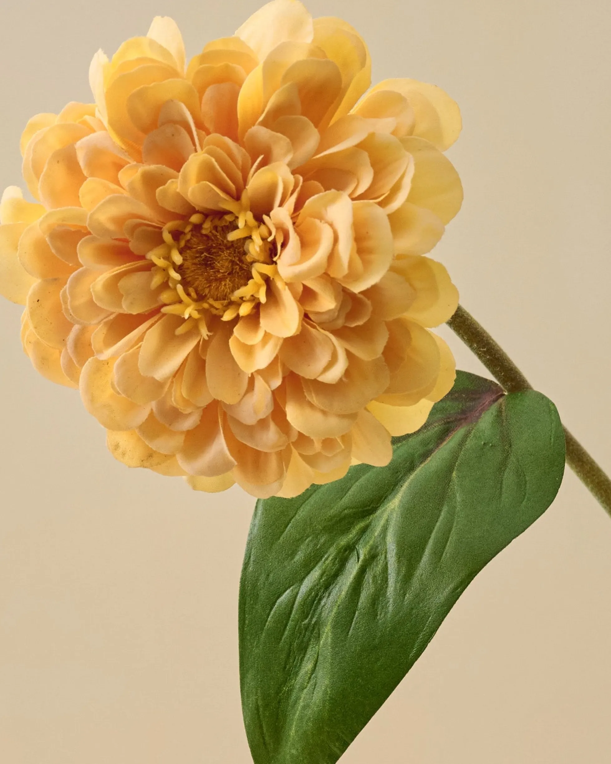 Real Touch Zinnia Stem