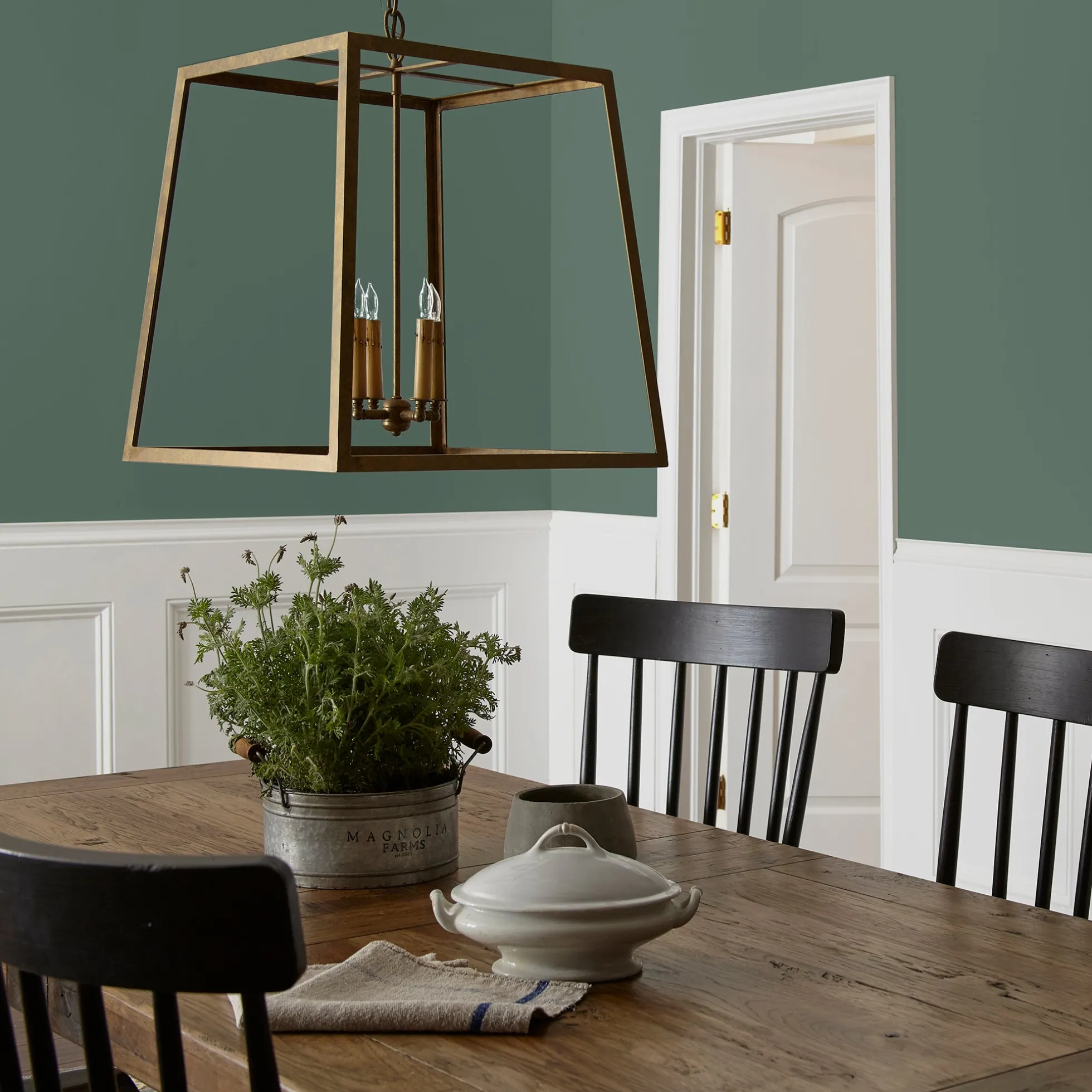 Regal Leaf - Premium Interior Paint