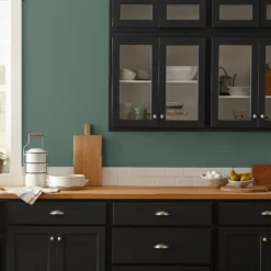 Regal Leaf - Premium Interior Paint