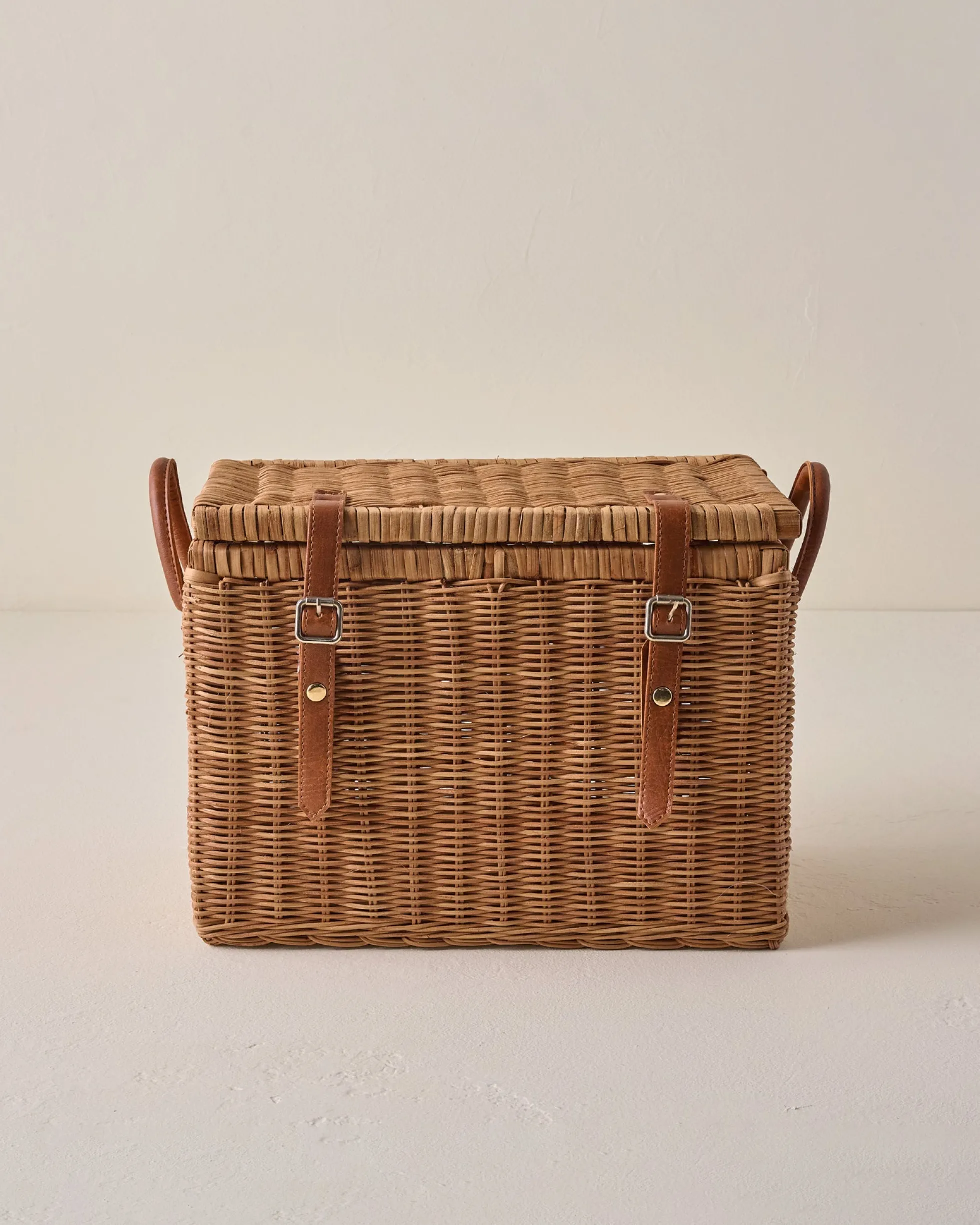 Reid Woven Storage Trunk with Leather Handles