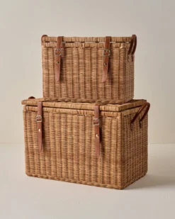 Reid Woven Storage Trunk with Leather Handles