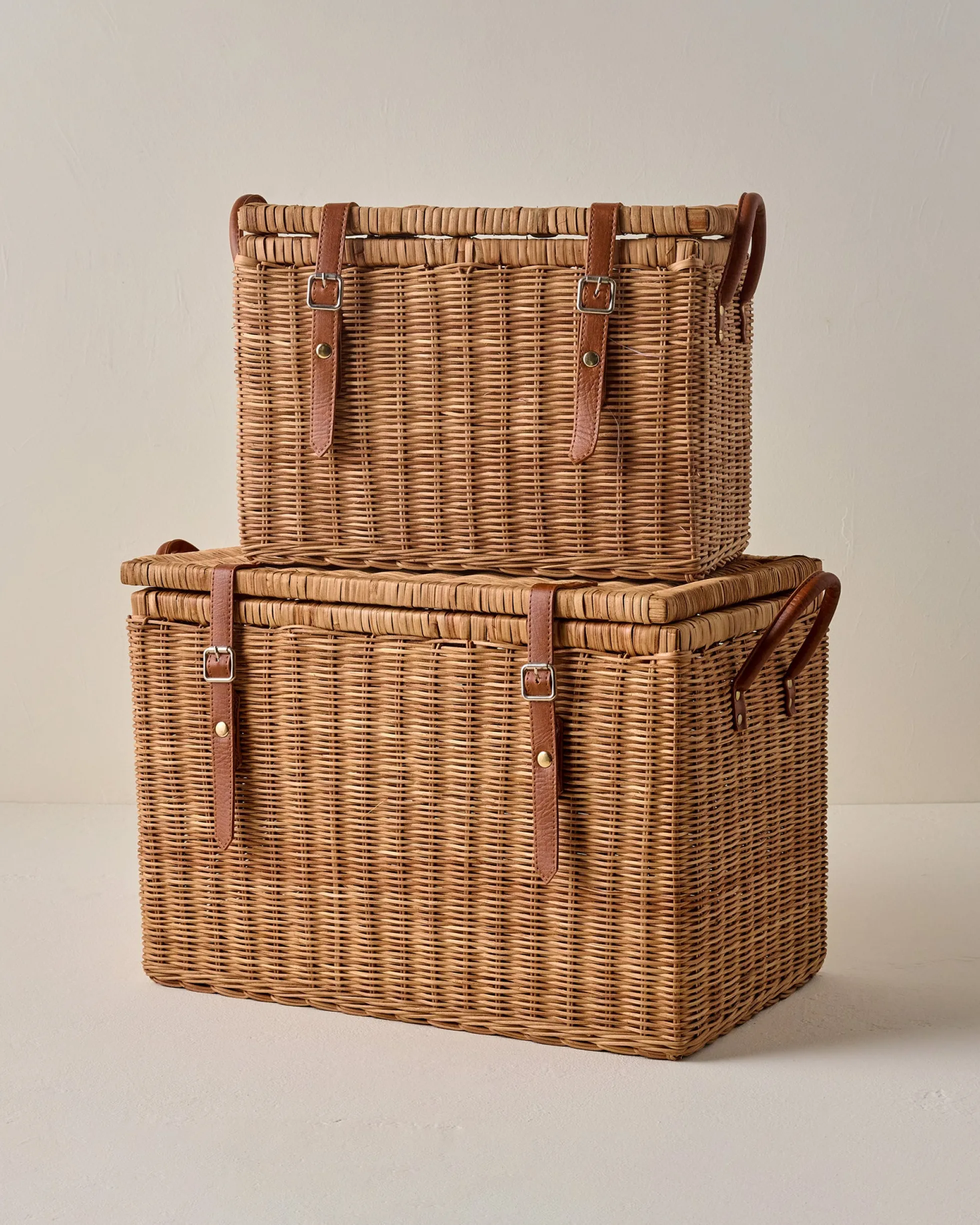 Reid Woven Storage Trunk with Leather Handles