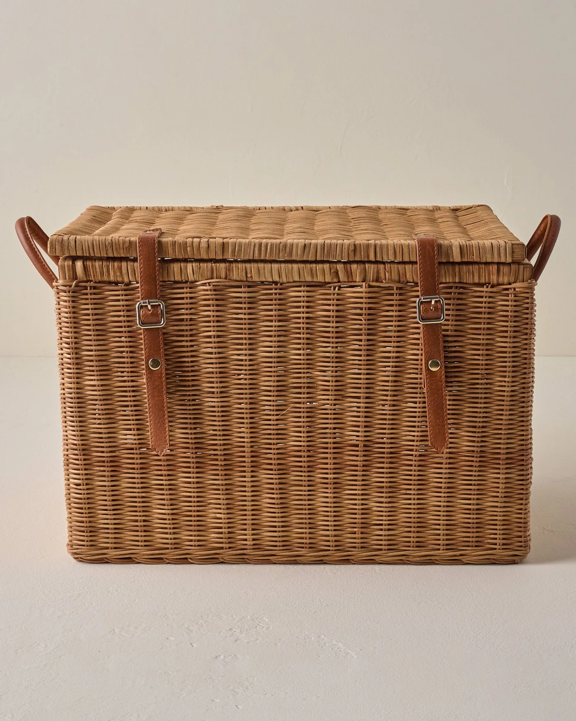 Reid Woven Storage Trunk with Leather Handles