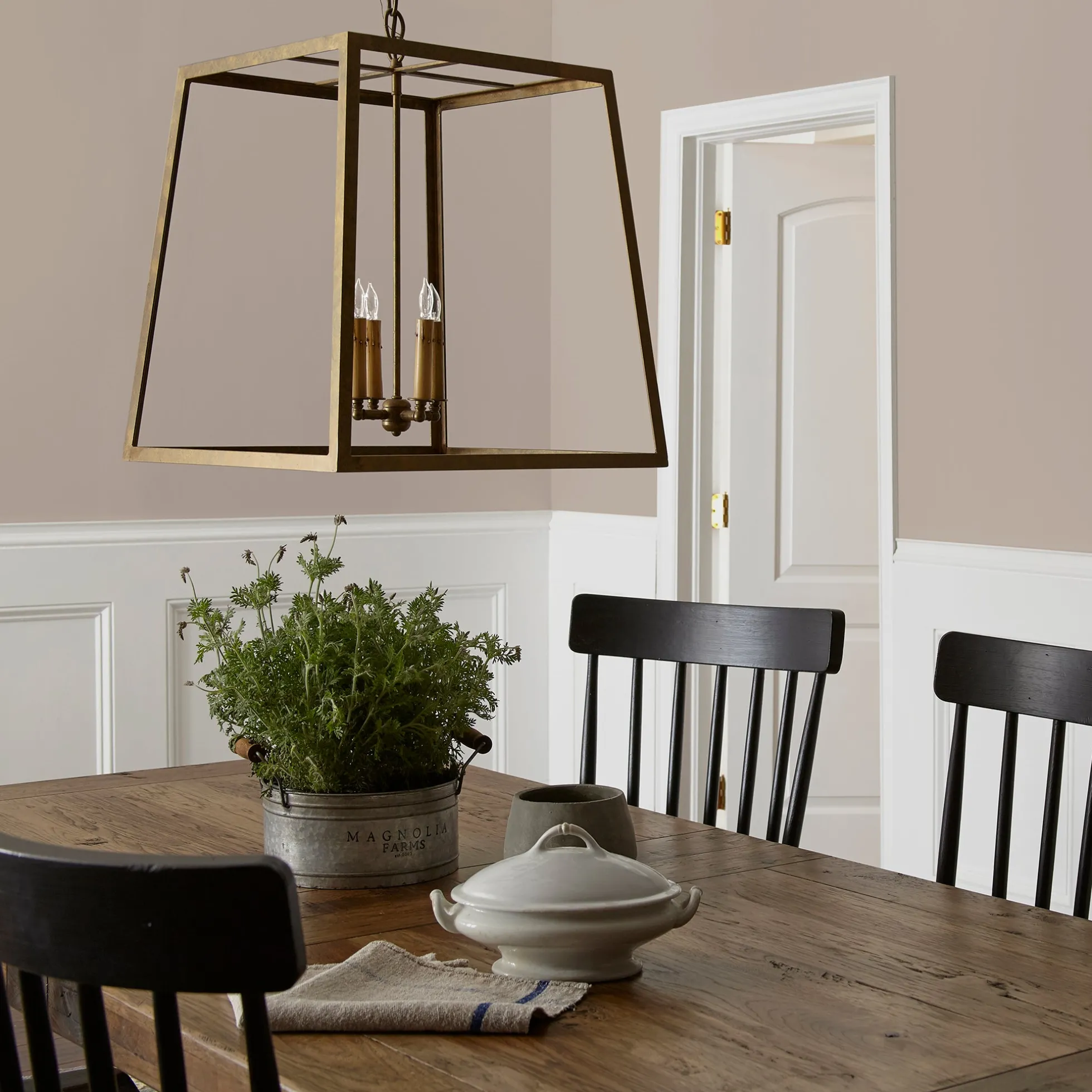 Rustic Oak - Classic Interior Paint