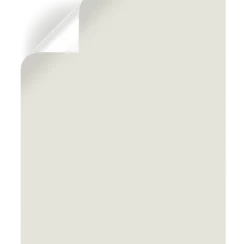 Shiplap White - Premium Interior Paint