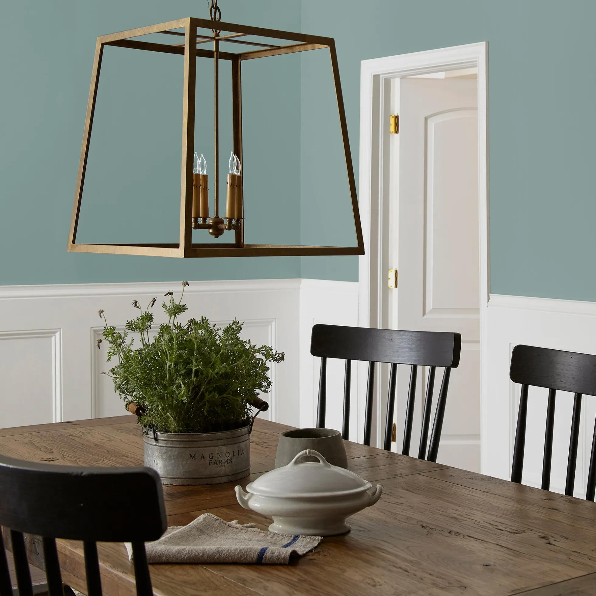 Sir Drake - Premium Interior Paint