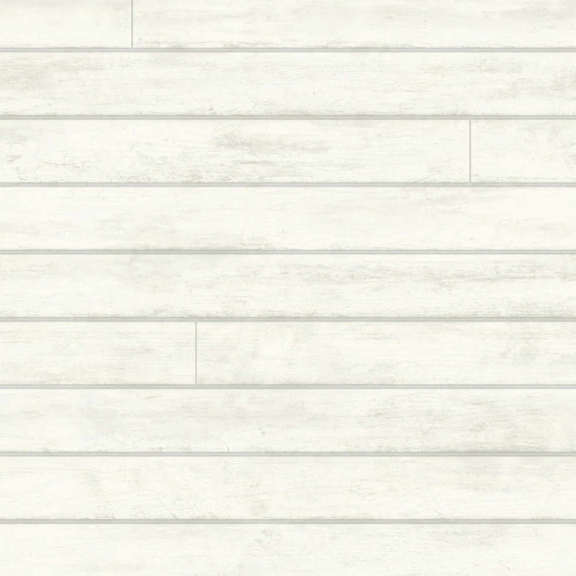 Skinnylap Wallpaper
