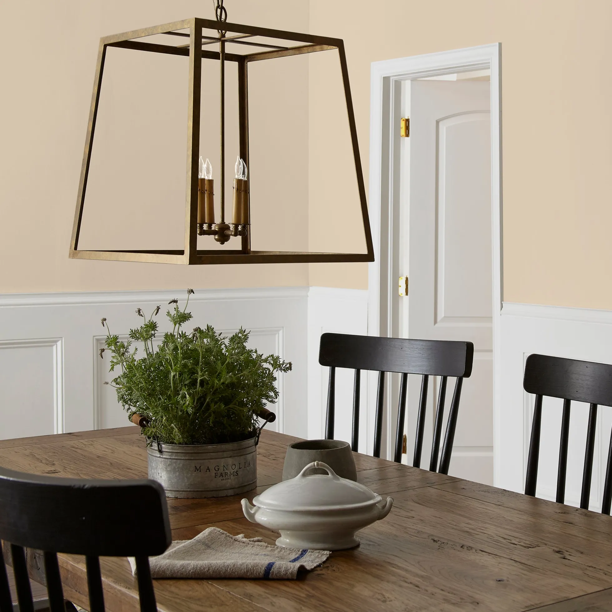 Soft Landing - Premium Interior Paint