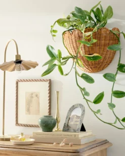 Solene Scalloped Woven Wall Basket
