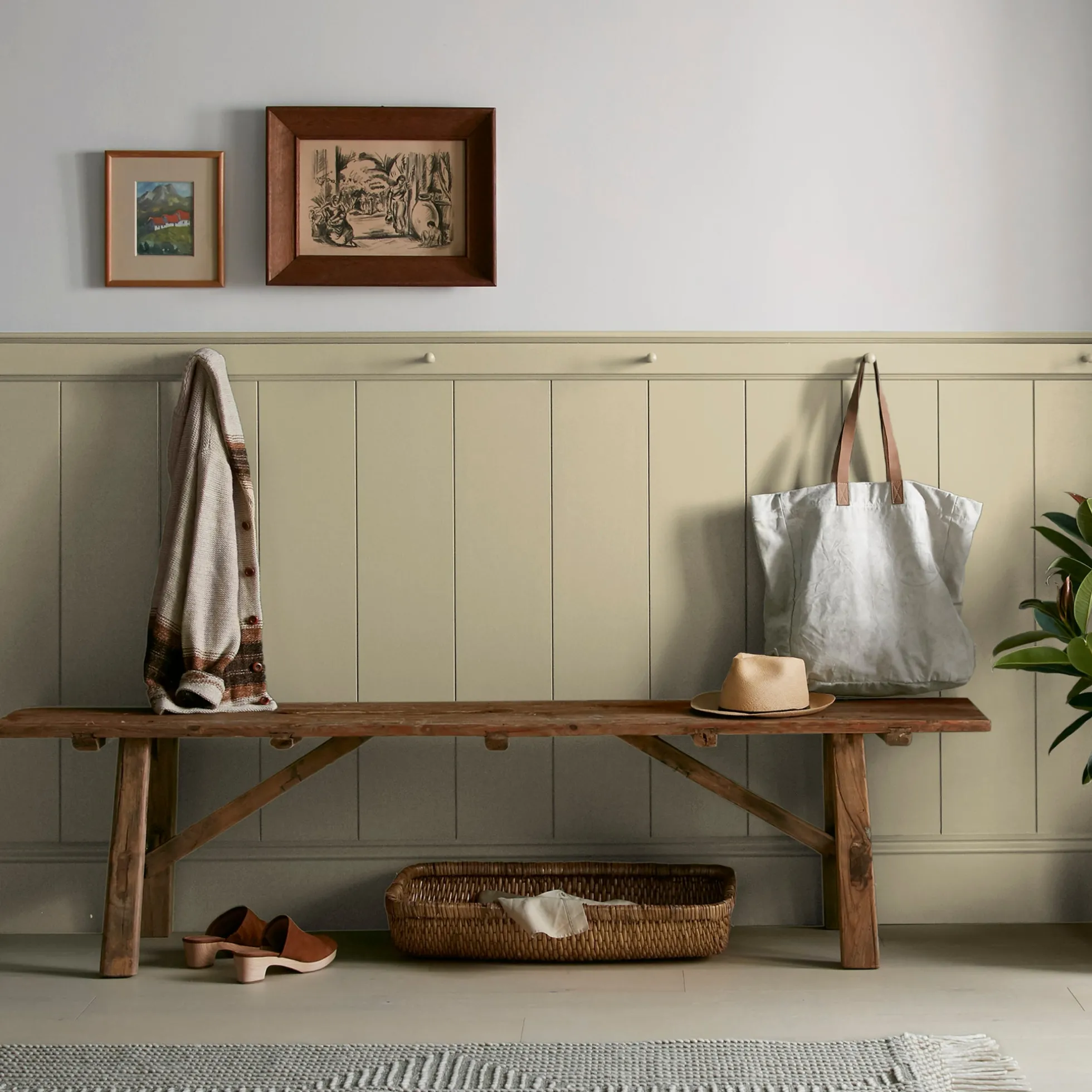 Sour Apple - Classic Interior Paint