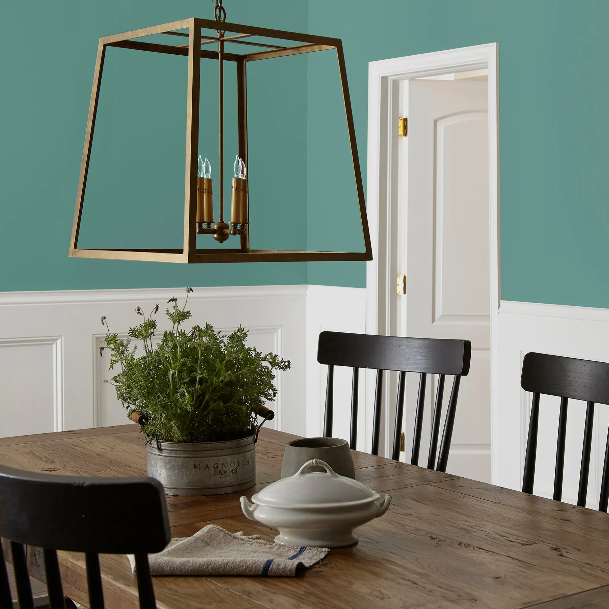Spontaneous - Classic Interior Paint