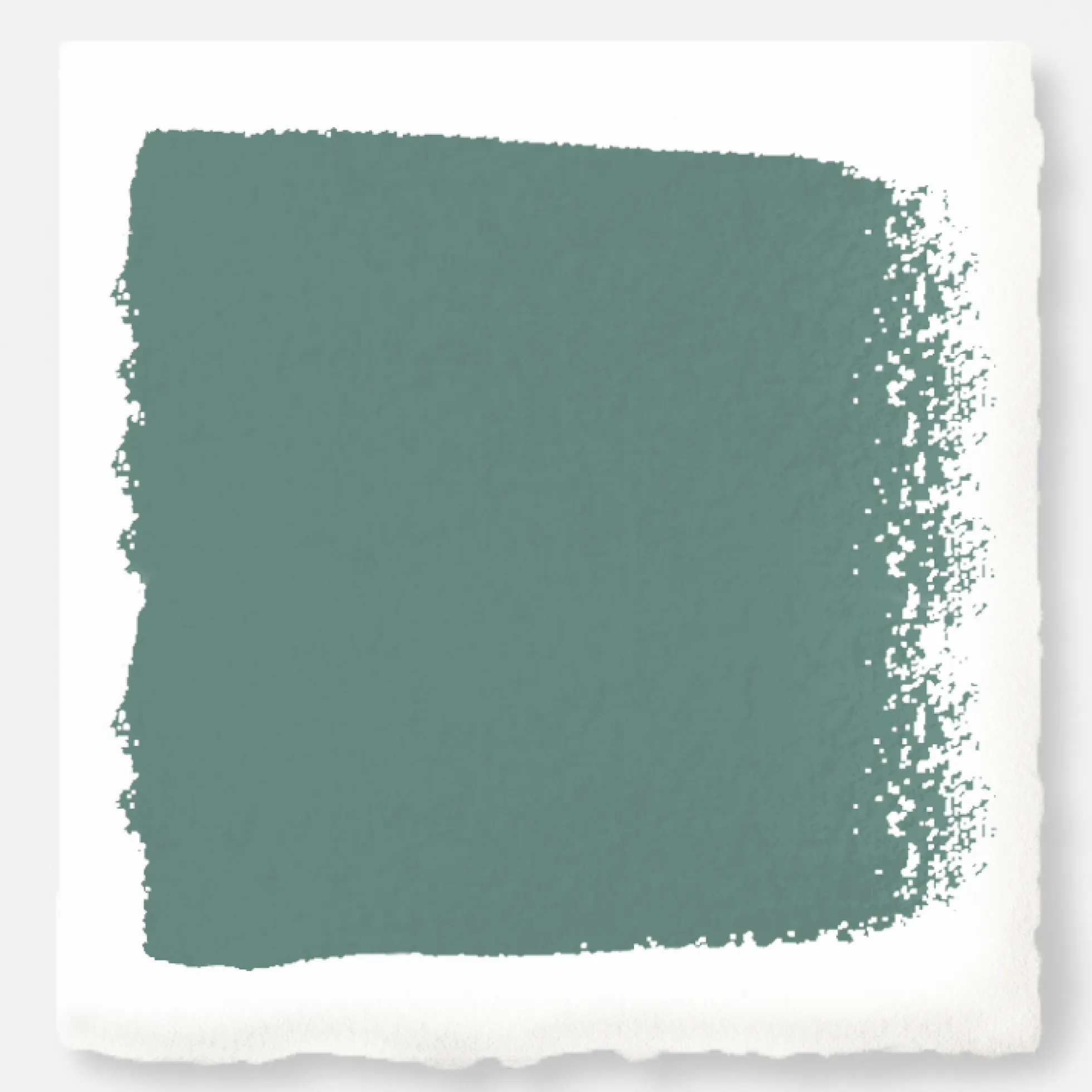 Spontaneous - Premium Interior Paint