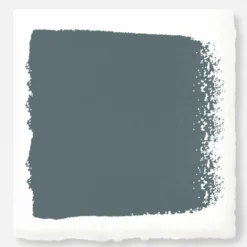 Storm Chaser - Classic Interior Paint