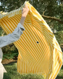 Striped Beach & Picnic Blanket – Monaco Mimosa Outdoor Blanket