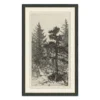 Tall Trees II