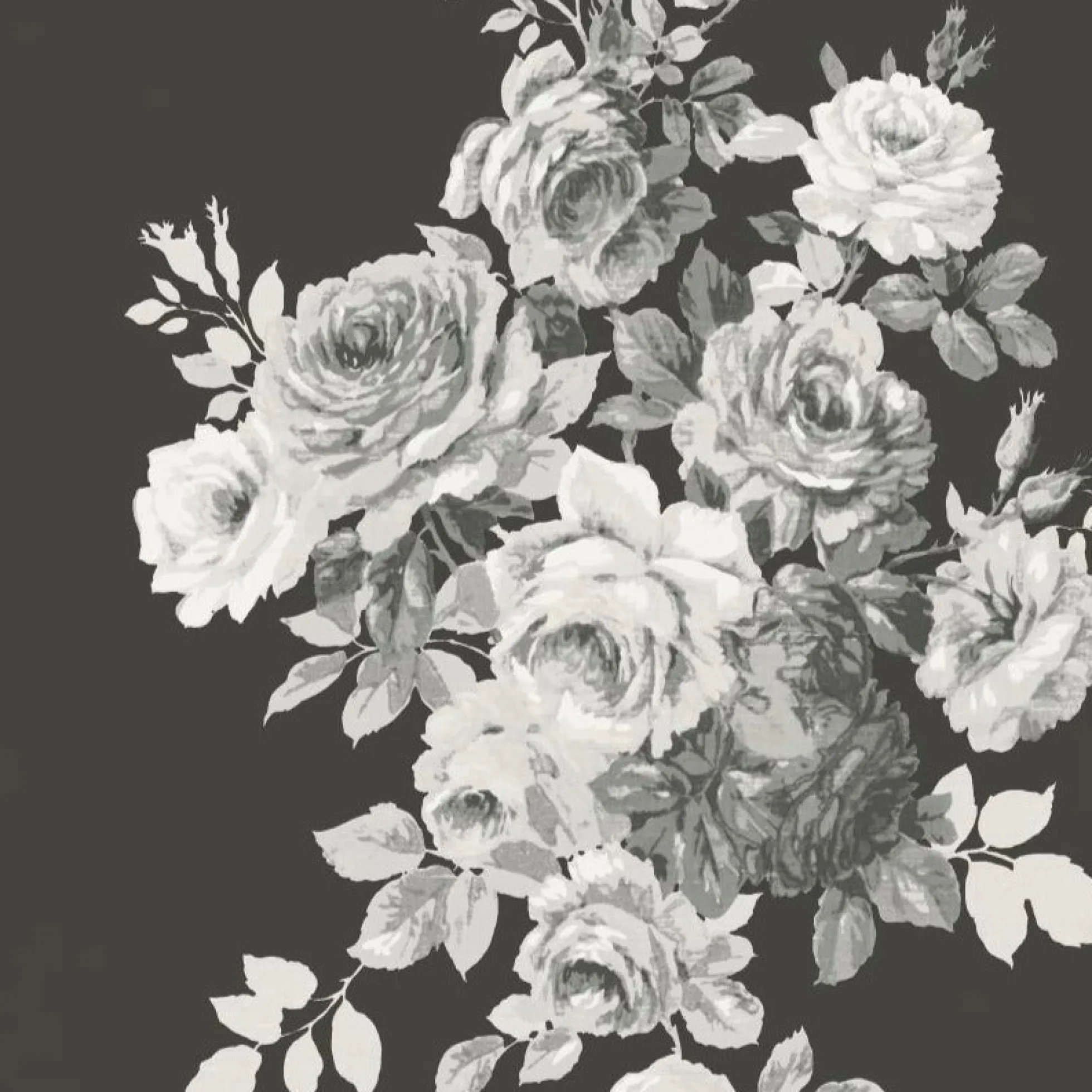 Tea Rose Wallpaper