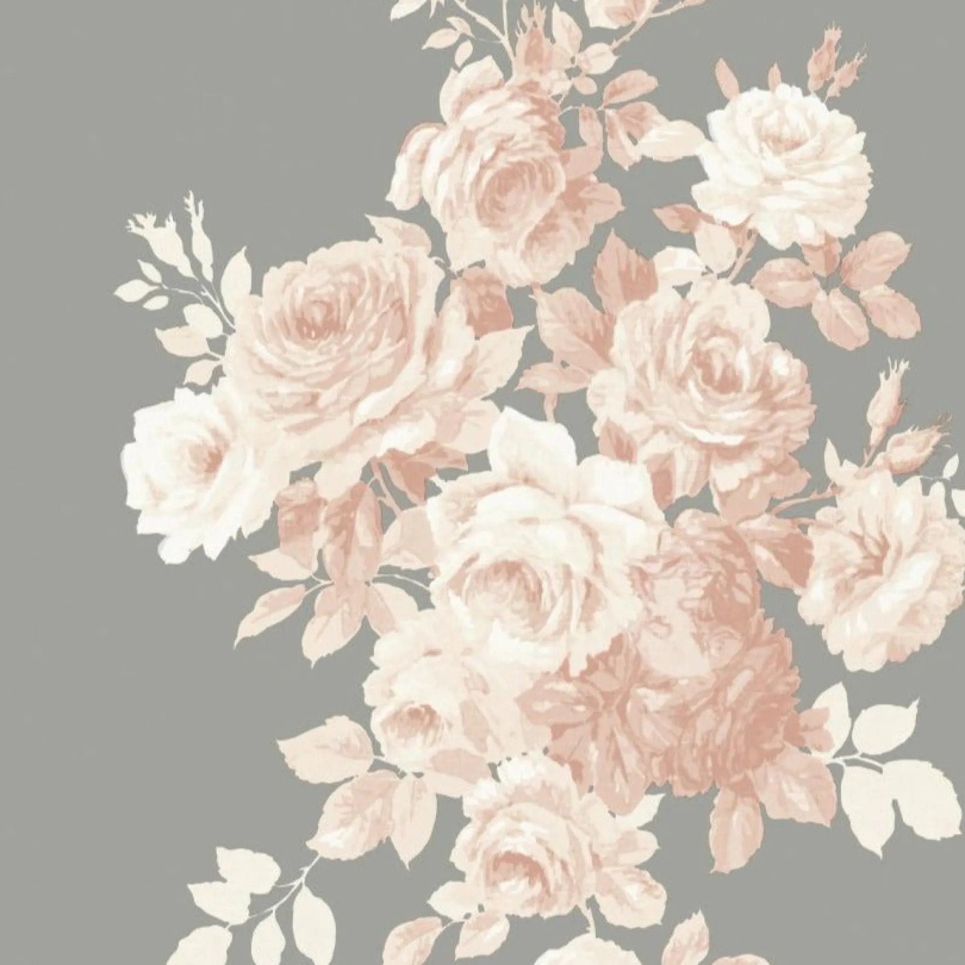 Tea Rose Wallpaper