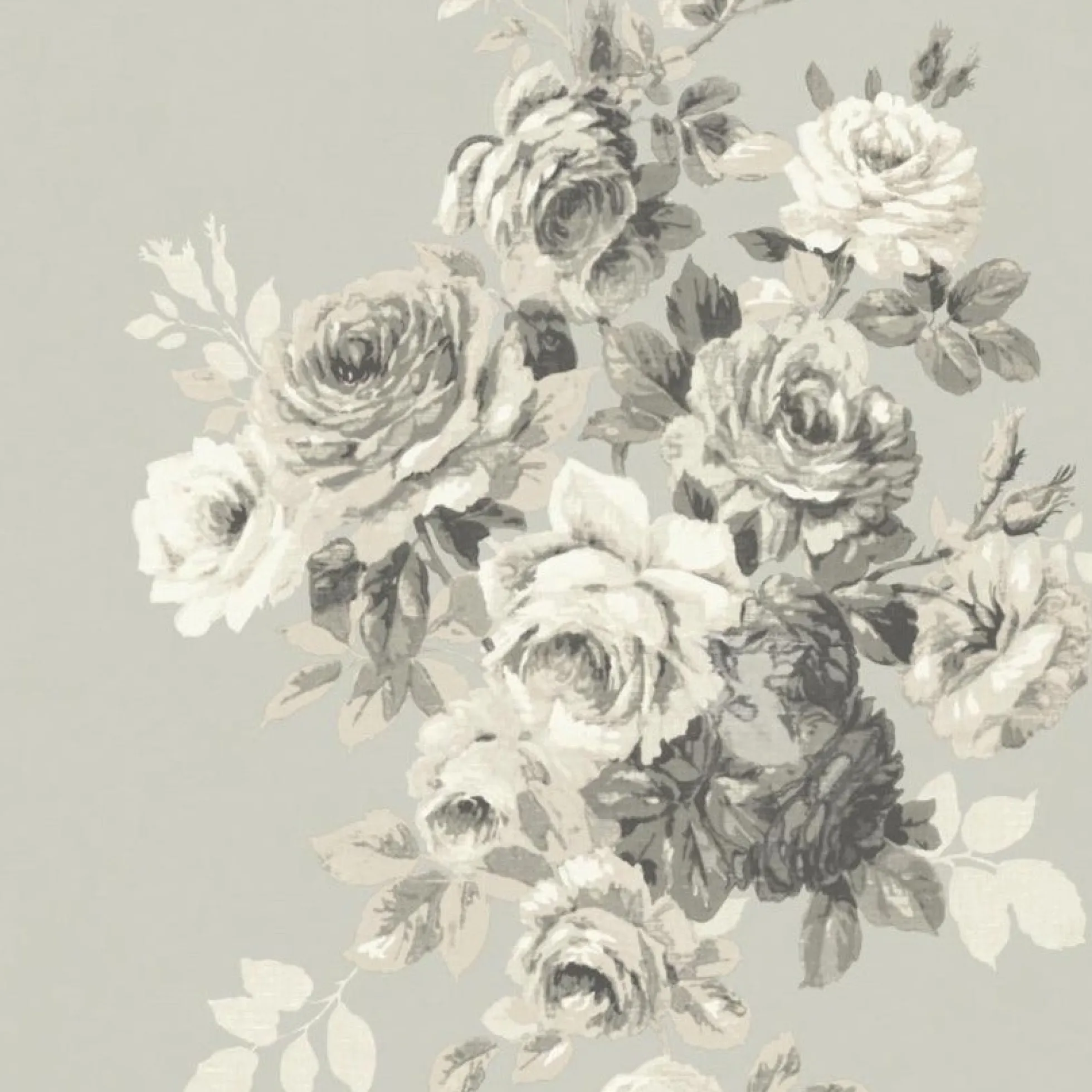 Tea Rose Wallpaper