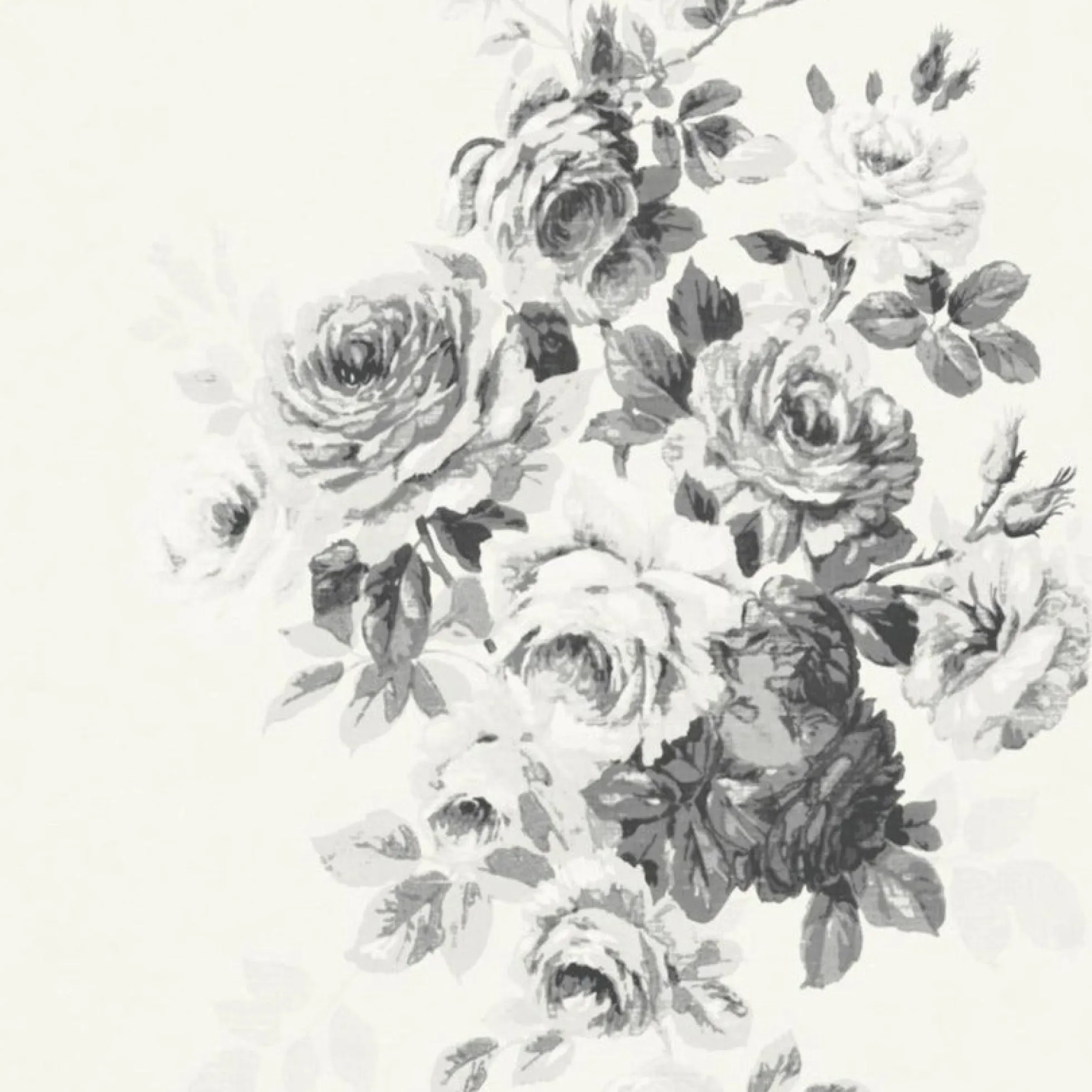 Tea Rose Wallpaper