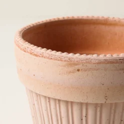 Terracotta Dotted Bergs Pot
