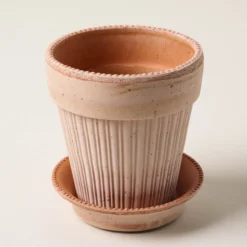 Terracotta Dotted Bergs Pot