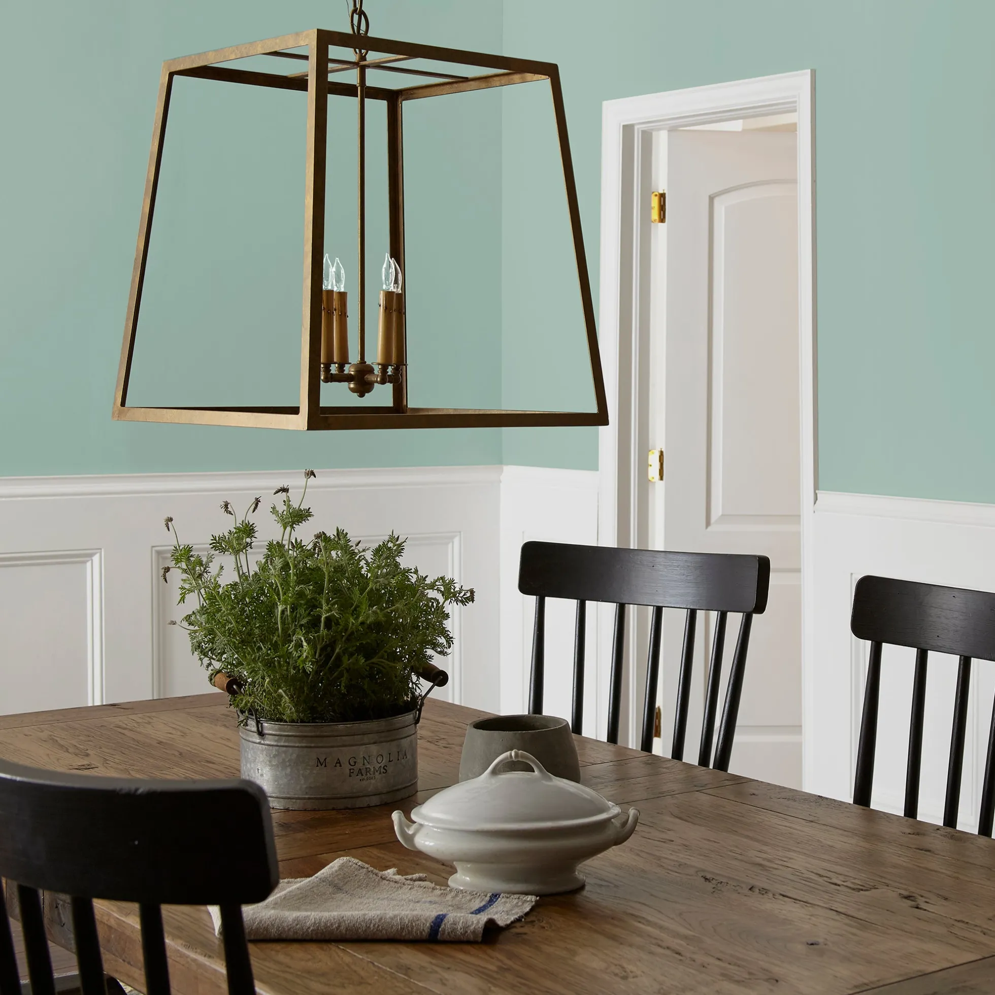 Texas Summer - Classic Interior Paint