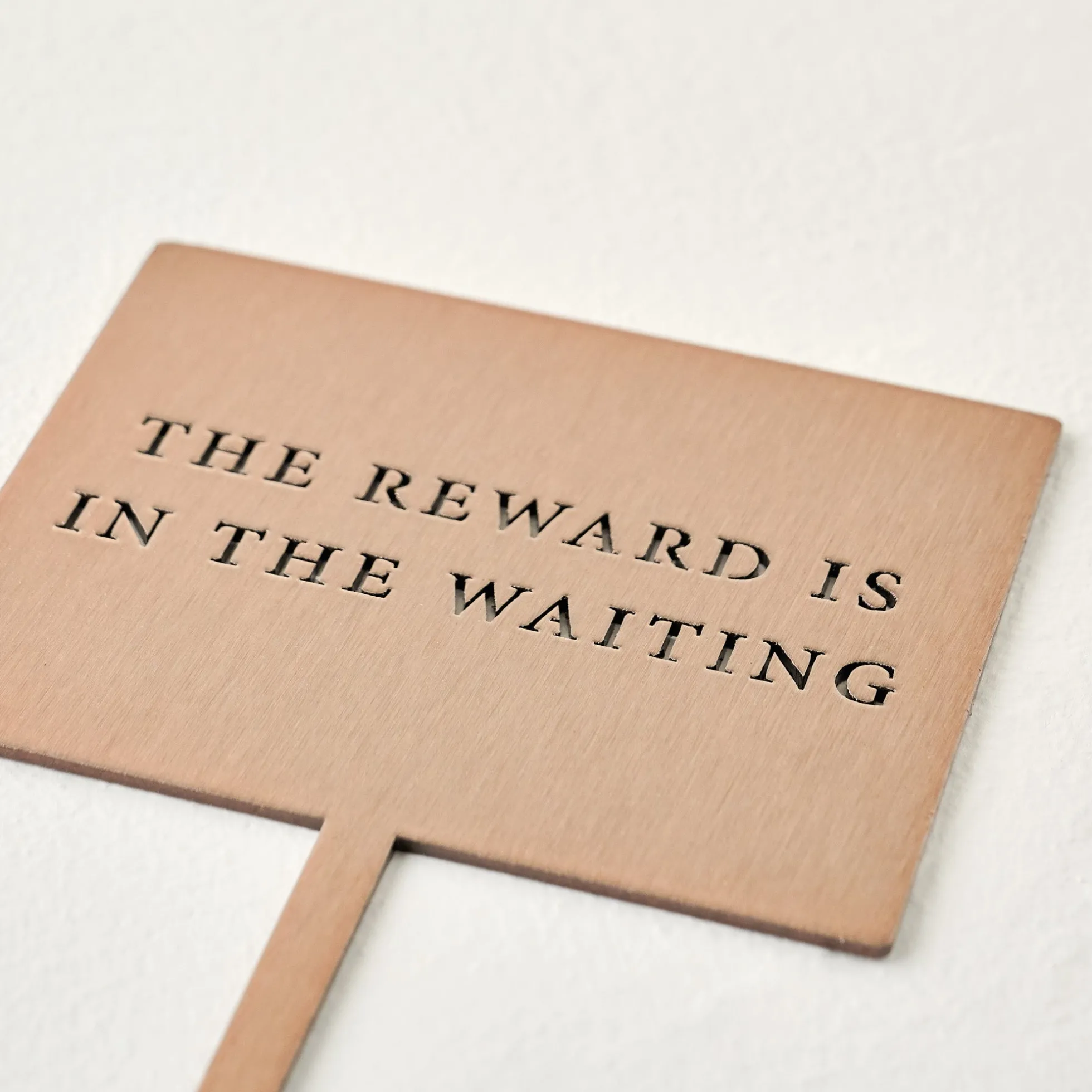 The Reward Mini Garden Stake