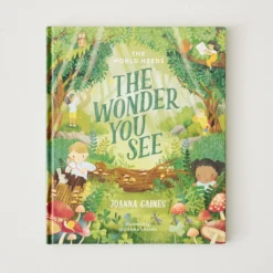 The World Needs the Wonder You See