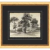 Tree Sketch