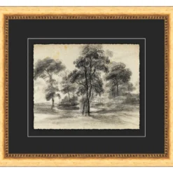 Tree Sketch