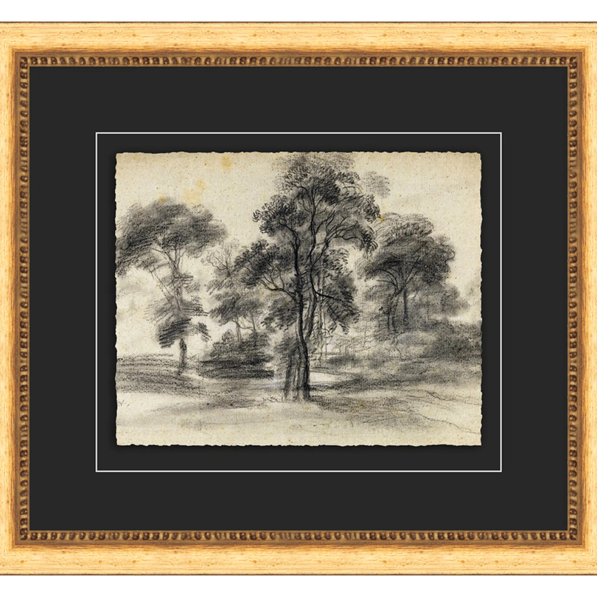 Tree Sketch
